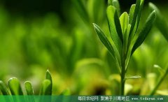 <b>乐山：加快推进现代农业转方式调结构</b>