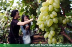 <b>隆昌：大力推休闲农业健康发展</b>