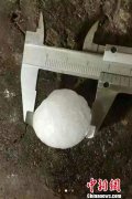 <b>阿坝遭遇冰雹袭击 冰雹最大直径26厘米</b>
