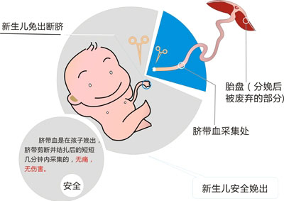 胎盘脐带血自费存储乱象 涉嫌商业欺诈行为