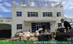 <b>泸州金钗石斛走出四川 坐上飞机去拉萨</b>