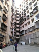 <b>重庆三峡移民统建房被长期侵占 居民硬抗不搬</b>