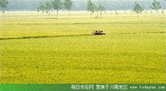 <b>四川88个粮食生产县将获更大金融支持</b>