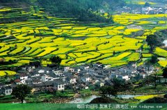 <b>四川：今年探索在农村购买环境公共服务</b>