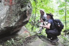 <b>泸州首个地质公园进入前期调研 专家考察恐龙资源</b>