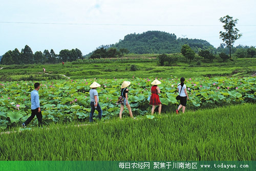 乐山犍为花花世界.jpg