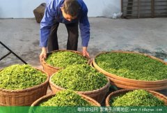 <b>泸州护国镇：组合式发展 带富家家户户</b>