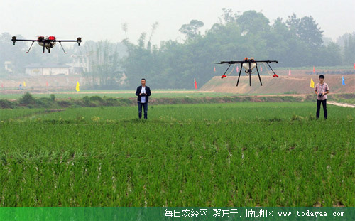 植保无人机穿越在<a data-cke-saved-href=http://www.luzhouol.cn href=http://www.luzhouol.cn target=_blank class=infotextkey>泸州</a>田间.jpg