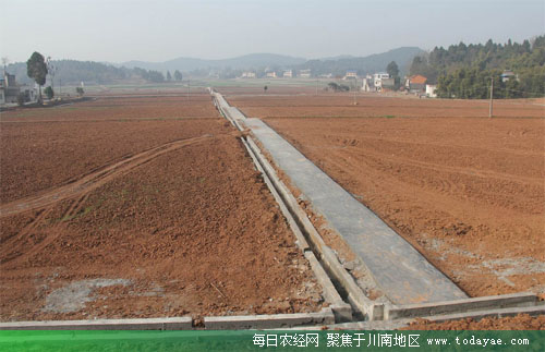 四川三台：确保小农水任务如期完成.jpg