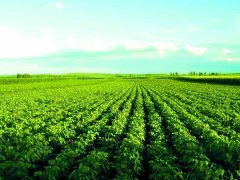 <b>自贡三联三服务 助推现代农业产业发展</b>