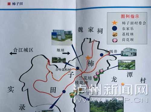 柿子田荷花基地