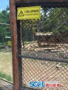 <b>雅安碧峰峡白虎咬断男孩手臂 动物园安全规范无国标</b>