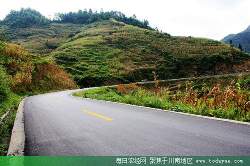 <a  data-cke-saved-href=http://www.luzhouol.cn href=http://www.luzhouol.cn target=_blank class=infotextkey>泸州</a>农村公路.jpg