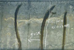 <b>成都立交桥被曝用胶水糊桥 回应称系国际通用</b>