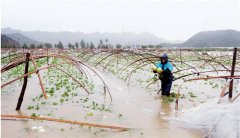 <b>浙江台州万亩良田变水塘 政府派铲车救被困人员</b>