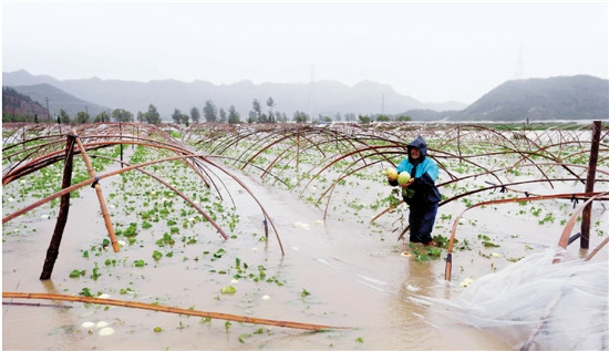 浙江台州万亩良田变水塘政府派铲车救被困人员