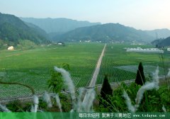 <b>泸州：强化扶贫工作责任 2019年在乌蒙山区率先脱贫</b>