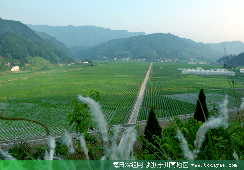 <a data-cke-saved-href=http://www.luzhouol.cn href=http://www.luzhouol.cn target=_blank class=infotextkey>泸州</a>连片扶贫成效显著.jpg