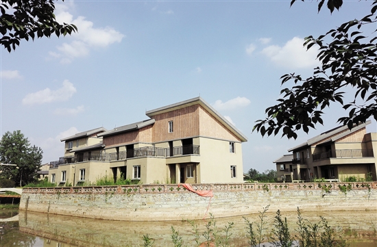 赵家坝综合体已基本建设完成.jpg