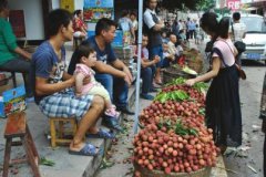 <b>合江荔枝卖得欢 村民增收致富</b>