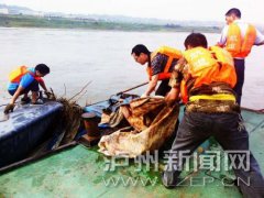 <b>今夏首次长江洪峰平安过境泸州 渡口仍需封渡停航</b>