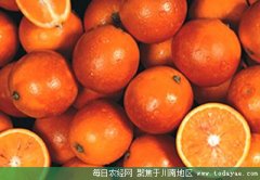 <b>利用互联网+ 自贡塔罗科血橙不愁销路</b>