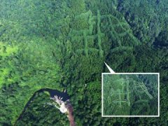 <b>邛崃山区现神秘“犇”字图案 是自然？是人工？</b>