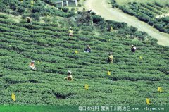 <b>古蔺县发展特色畜牧业 农民增收</b>