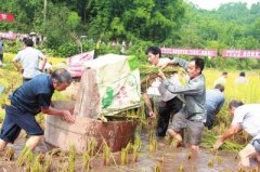 <b>打谷子吃新米九大碗 乐山井研打谷节活动举行</b>