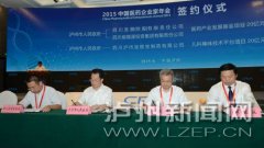 <b>泸州签订9个医药产业项目 投资总额达51.8亿</b>