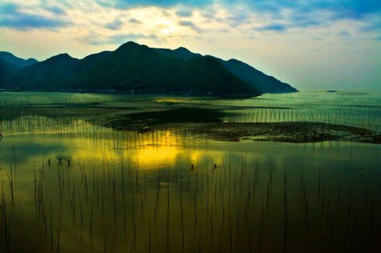 去福建，我才不带你去鼓浪屿！