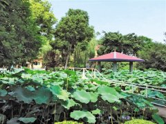 <b>四川：资中打造农业经济升级版</b>