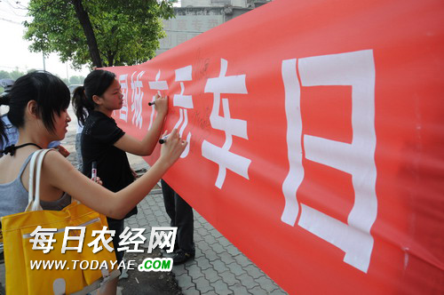 无车日活动.jpg