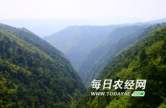 <b>四川国家级森林氧吧 泸州两自然保护区名列其中</b>