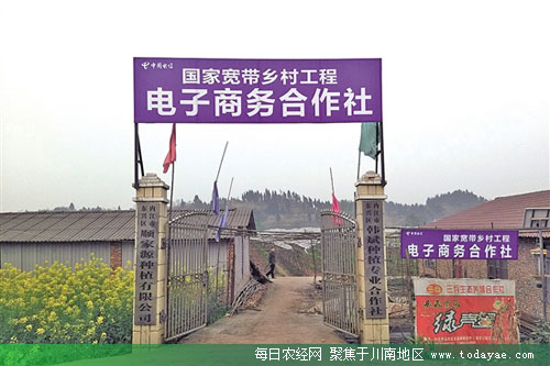 内江互联网+<a  data-cke-saved-href=http://www.todayae.com href=http://www.todayae.com target=_blank class=infotextkey>农业</a>.jpg