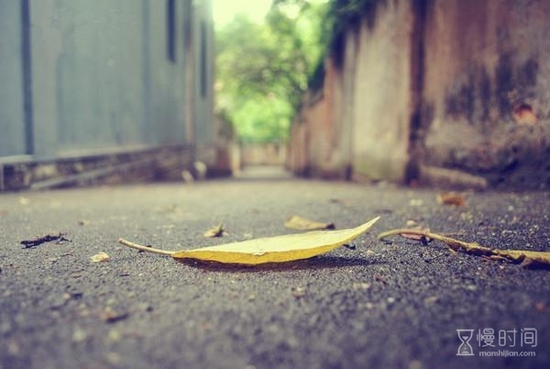 你说鼓浪屿很美,我说你不知道的厦门更美