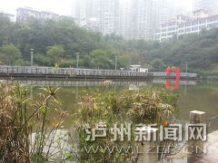 <b>全面维修 泸州江阳公园木栈道12月全新亮相</b>