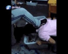 <b>河南焦作：初中女生被同学踩头逼迫跪地吃垃圾(图)</b>