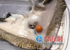 <b>福建：1斤多黄螺“吐出”42.7克拉大“龙珠”</b>