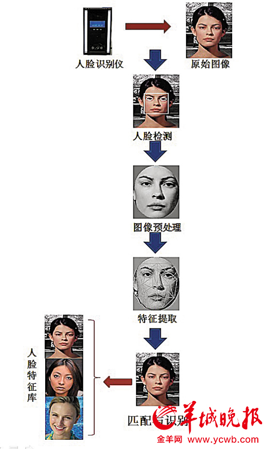 人脸识别的基本原理示意图