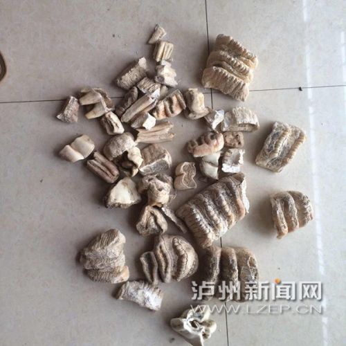 zhangrh1510245 - 副本