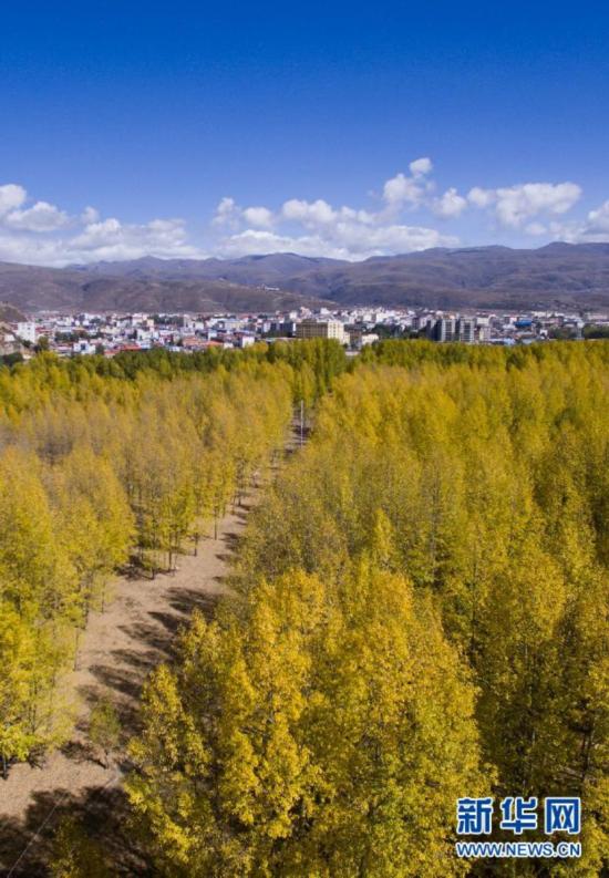 （美丽中国）（4）四川：雅砻湿地成317国道一道靓丽风景