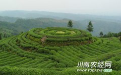 <b>乐山：市中区已建成高标准农田15100亩</b>