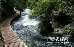 <b>泸州：市级园林式单位和居住小区名单出炉</b>