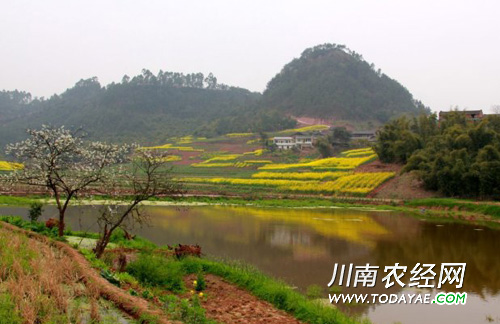 自贡乡村旅游.jpg