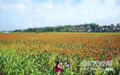 <b>泸州：江阳区获国家现代农业示范区资金</b>