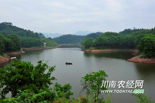 七仙湖湿地公园.jpg