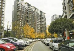 <b>成都现“天价停车位”50万一个 开发商称系市场定价</b>