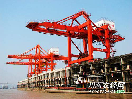 <a  data-cke-saved-href=http://www.luzhouol.com href=http://www.luzhouol.com target=_blank class=infotextkey>泸州</a>港.jpg