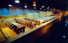 <b>英媒：汉景帝墓出土世界最古老茶叶 距今2150年</b>